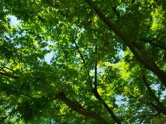 -江南大学(蠡湖校区)