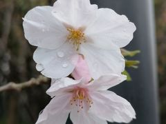 -黄兴公园
