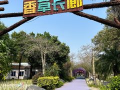 -广东花都香草世界旅游度假区
