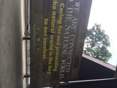 iphone_upload_pic-河川生态园