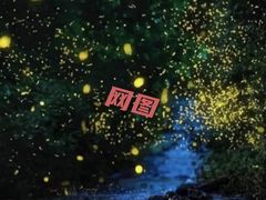 -西涌国际滨海旅游区