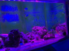 -荆州中山公园动物园