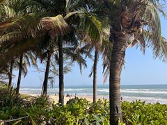 -味餐厅·海鲜·火锅·自助餐