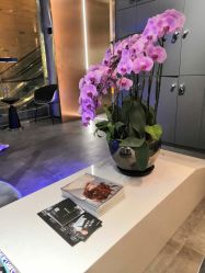 点击看大图 -SEBASTIAN塞巴斯汀