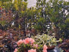 -京杭上院·河景花园餐厅·杭帮菜名店