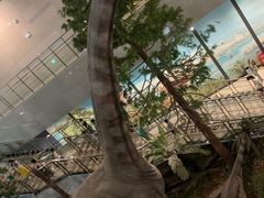 -湖南省地质博物馆