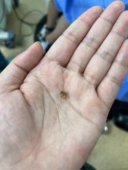 -睿宝儿科·眼科·口腔(杨浦新江湾城店)