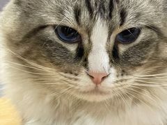 -白兔子密室(长寿路店)