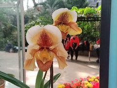 -北京植物园-展览温室