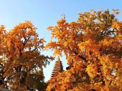 -北京石刻艺术博物馆(五塔寺)