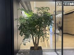 -ARC'TERYX始祖鸟(北京王府中环店)