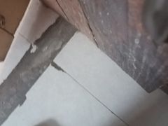 -龙师傅卤炒(天马店)