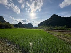 -靖西鹅泉风景区