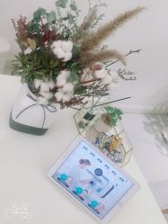 -紫御国际抗衰ZOE ANTI AGING