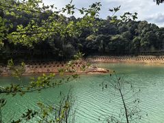 -广州市流溪河国家森林公园