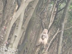 -黔灵山公园