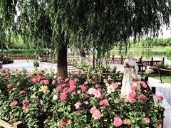 -西海子公园