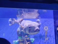 -南昌融创海世界