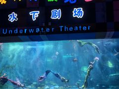 -泉城欧乐堡海洋极地世界