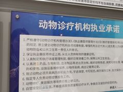 -关爱宠物医院·猫科中心·消化科(滨湖万达分院)