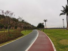 -野狸岛