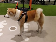 -YCHL Studios健身工作室(市二宫店)