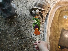-上海大自然野生昆虫馆(东方明珠·爬宠昆虫探索中心)