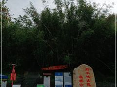 -羚羊峡古栈道森林公园