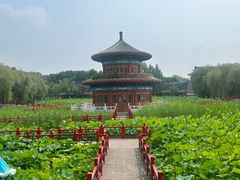 -大明幻境第一城