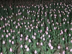 -长春公园(普阳街道)