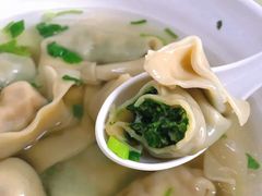 荠菜猪肉大馄饨-蒸好吃馄饨