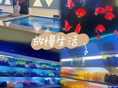 -山水温泉