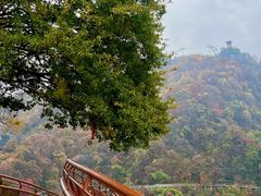 -少华山国家森林公园