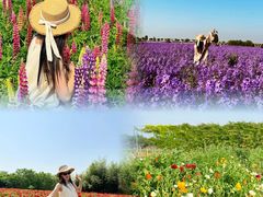 -汉长安城未央宫国家考古遗址公园