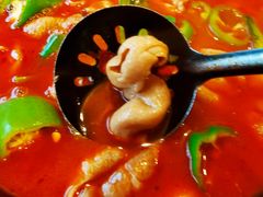 湘味肥肠火锅-湘肠香火锅店(团结湖店)