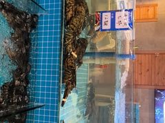 -蓝珊甄选海鲜自助·火锅大排档(近阿那亚店)