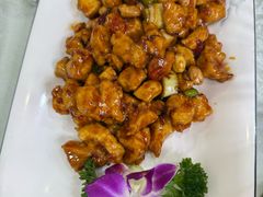 -六和聚传统烤鸭.天津菜(和平店)