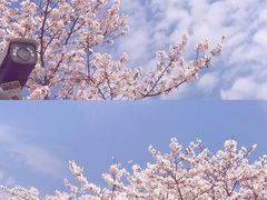 -龙美术馆(西岸馆)