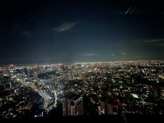 -六本木新城展望台(东京城市景观)