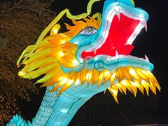 -青龙湖公园