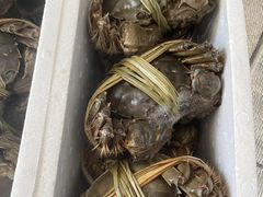-祥鹤龙虾螃蟹