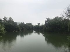 -桃花岛景观公园