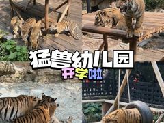 -广州长隆野生动物世界