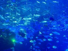 -多彩贵州城极地海洋世界