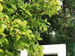 -杭州西湖风景名胜区-满觉陇四眼井