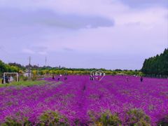 -嘉北郊野公园
