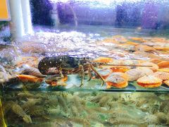 -桥东喜碧海鲜街(水东街店)