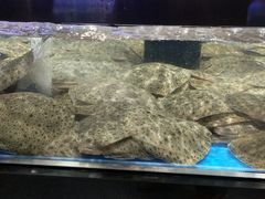 -盒马鲜生(公园1903店)
