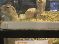 -宠物世家(仲盛世界商城店)
