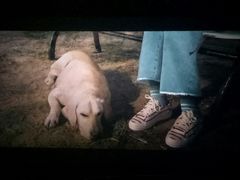 -星河国际影城(新会店)